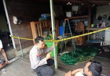 Tenaga Honorer UPT Puskesmas Kandui Gantung Diri