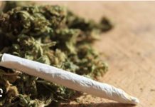 Terima Kiriman Ganja Lewat Paket Baju dari Medan ke Berau, 6 Orang Ditangkap