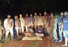 Selundupkan Sabu 15,5 Kg dalam Kemasan Teh, Dua Pemuda Badau Ditangkap Penyelundupan sabu digagalkan Satgas Pamtas dan tim gabungan di Kapuas Hulu, Kalbar.