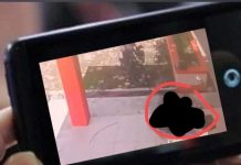 Video Syur Mahasiswi Salah Satu Kampus di Sampit Beredar di Medsos