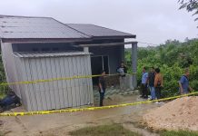 Perampok dan Pembunuh PNS BPPD Barito Utara, Hartini, Ditangkap di Benangin