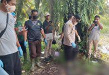 Pencuri Sawit Tewas di Rawa PT Astra GSYM, karena Kelelahan Saat Melarikan Diri