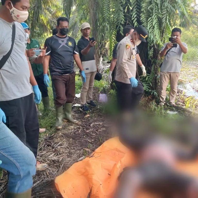 Pencuri Sawit Tewas di Rawa PT Astra GSYM, karena Kelelahan Saat Melarikan Diri