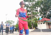 Petugas Damkarmat Barito Utara Evakuasi Ular Viper Hijau dari Gudang Mebel