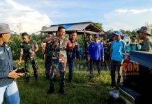 Dandim 1013/MTW dan Kadistan Cek Lahan Jagung di Desa Mampuak