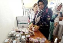 Program Pemberdayaan Ekonomi BKKBN Sasar Kelompok UPPKA