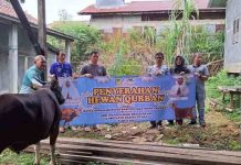 Ketua DPRD Barito Utara Serahkan Tiga Ekor Sapi Kurban