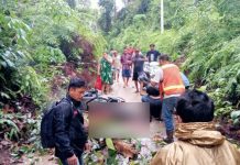 Warga Barito Utara Tewas Tertimpa Kayu Lapuk, Sepulang Beli Air Galon