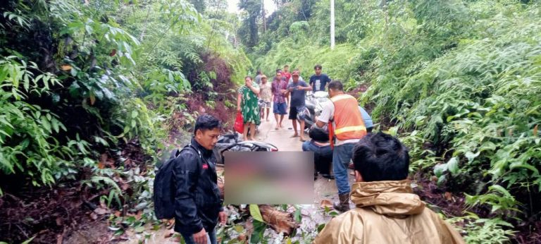 Warga Barito Utara Tewas Tertimpa Kayu Lapuk, Sepulang Beli Air Galon