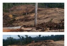 PT NPR Diminta Hentikan Sementara Aktivitas Pembebasan Lahan, karena Tak Melibatkan Pemdes Karendan