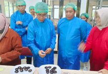 Pj Bupati Mura Kunjungi Pabrik Pengolahan Kakao dan Kopi