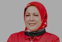 Wakil Ketua DPRD Barito Utara 2024-2029, DPP PDI Perjuangan Rekomendasikan Henny