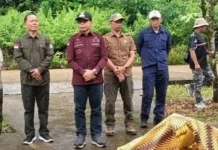 Dokumen Awal Perencanaan Pengambangan dan Pembangunan Kepariwisataan