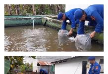 Ditpolairud Sebarkan Ribuan Benih Ikan di Sampit, Dukung Program Ketahanan Pangan Nasional