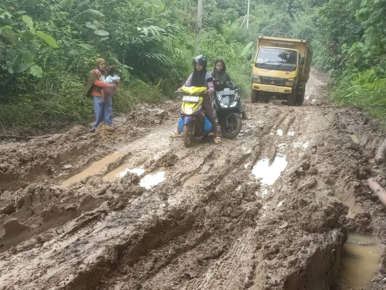 Jalan Penghubung Desa di Kecamatan Teweh Timur Rusak Lagi