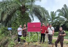 Korupsi Izin Tambang di Barito Utara : Kejati Kalteng Sita Lahan Tambang PT Pagun Taka Seluas 2.337 Ha