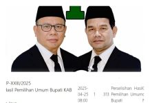 Gugatan GOGO-HELO Resmi Diregistrasi MK, Sidang Perdana 25 April