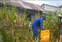 Ditpolairud Polda Kalteng Ajak Masyarakat Sukseskan Ketahanan Pangan