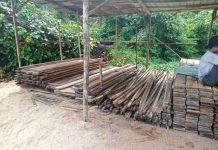 Ditpolairud Polda Kalteng Bongkar Pembalakan Liar, Ratusan Potong Kayu Diamankan di DAS Mentaya