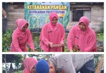 Personil KP XVIII-1004 Bersama Bhayangkari Sokong Program Ketahanan Pangan