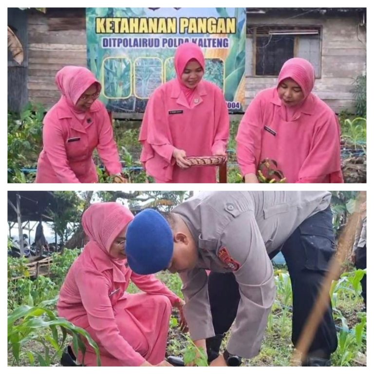 Personil KP XVIII-1004 Bersama Bhayangkari Sokong Program Ketahanan Pangan