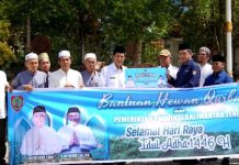 Pemkab Barito Utara Terima Bantuan 30 Ekor Sapi Kurban dari Pemprov Kalteng