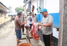Polres Barito Utara Sediakan 17 Ekor Sapi Kurban, Bagikan kepada Warga