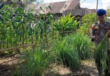 Personel Ditpolairud Wujudkan Ketahanan Pangan di Desa Binaan