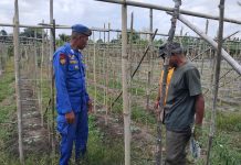 Ditpolairud Ingatkan Warga Kotim, Waspadai Ancaman Karhutla