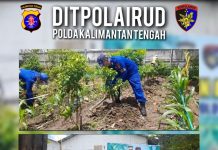 Ditpolairud Polda Kalteng Wujudkan Ketahanan Pangan di Desa Binaan