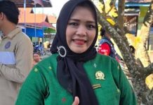 Waket I DPRD Murung Raya Apresiasi Langkah Cepat Pemkab Tangani Bencana