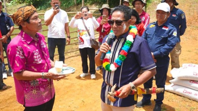 WhatsApp Image 2025-09-13 at 22.36.42