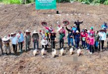 Pemkab Murung Raya Ajak Petani Manfaatkan Teknologi Pertanian Modern