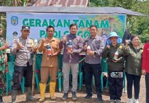 Gerakan Tanam Padi Gogo Wujudkan Kemandirian Pangan Masyarakat