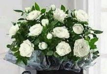 Setelah 9 Hari Dirawat, Ibu Tua Pensiunan PNS Korban Perampokan di Barito Utara Meninggal Dunia