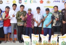 Pemkab Murung Raya dan Bulog Luncurkan Program Bantuan Pangan Beras dan Minyak Goreng