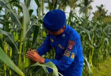 Personel Ditpolairud Mako Perwakilan Pegatan Wujudkan Ketahanan Pangan Di Desa Trans DAS Katingan