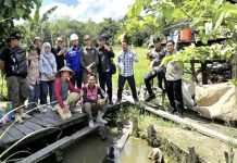 DPRD Barito Utara Miris Lihat Kerusakan Dam Trinsing akibat Aktivitas Tambang
