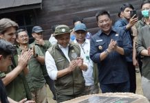 Barito Utara Jadi Pusat Konservasi Owa, Diresmikan Menhut