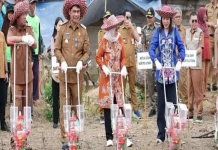 Shalahuddin : Barito Utara Perkuat Produktivitas Pertanian Jagung Hibrida