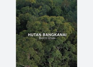 Barito Utara Jadi Tempat Subur Jual Beli Hutan, Investor Minta Perlindungan Pemerintah
