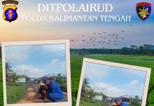 Polisi RW Ditpolairud Berperan Signifikan Jaga Kamtibmas di DAS Katingan