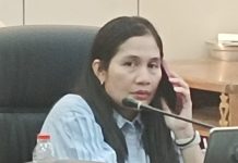 Naruk Saritani Apresiasi Kiprah Kaum Hawa Barito Utara Tepat di Momen Peringatan HKG ke-54 PKK