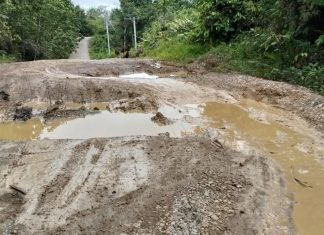 Jalan Nasional dari Lampeong Menuju Perbatasan Kaltim Rusak Lagi