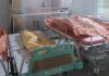 Pembantaian di Benangin Barito Utara, Satu Keluarga Termasuk Anak Usia 3 Tahun Dibunuh