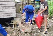Gerakan Bersih Sampah Sungai dan Pantai, Ditpolairud Jaga Lingkungan Pesisir Lestari