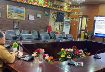 Pemkab Murung Raya Ikuti RDP dan RDPU DPR RI, Ini yang Dibahas