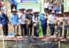 Panen Raya Ikan Nila Perkuat Ketahanan Pangan di Murung Raya