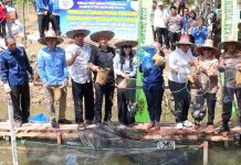 Panen Raya Ikan Nila Perkuat Ketahanan Pangan di Murung Raya