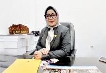 Ketua Komisi I Nety Dorong Penguatan Kompetensi Guru PAUD